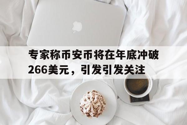 专家称币安币将在年底冲破266美元，引发引发关注的简单介绍-爱游戏官网