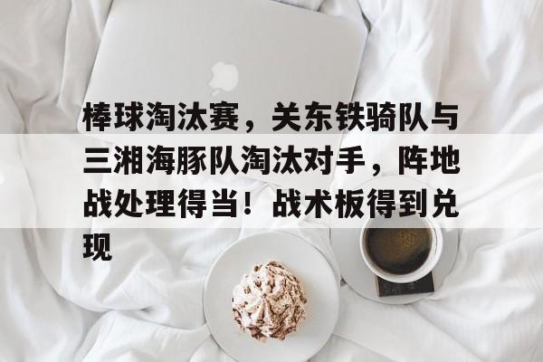 棒球淘汰赛，关东铁骑队与三湘海豚队淘汰对手，阵地战处理得当！战术板得到兑现的简单介绍-AIYOUXI